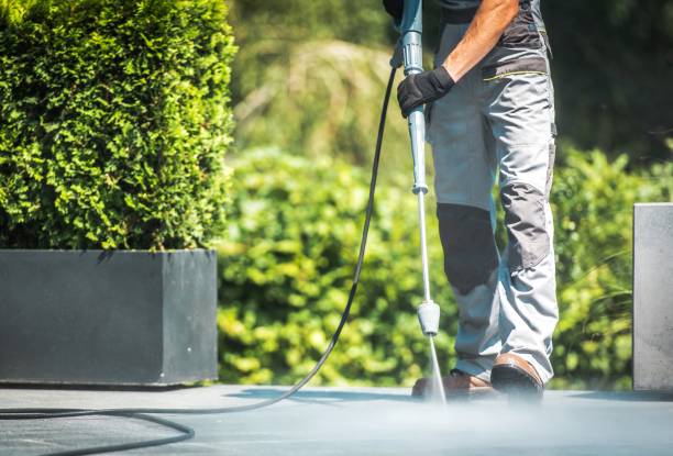 Best Patio and Deck Pressure Washing  in Little Walnut Village, NM